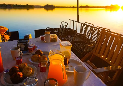 Citrus Farm Immersion Experience: Nottingham Estate