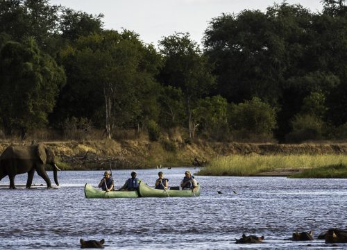 Mana Pools Explorer